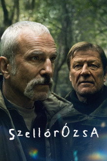 Szellőrózsa