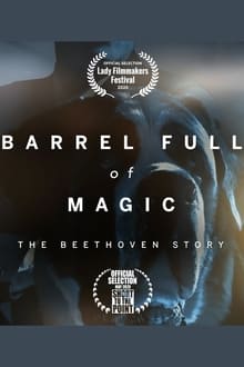 Poster do filme Barrel Full of Magic: The Beethoven Story