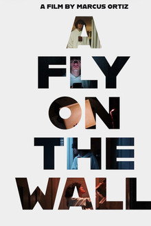 A Fly On The Wall