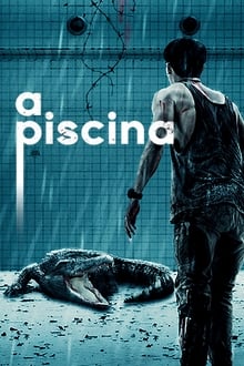 Poster do filme A Piscina