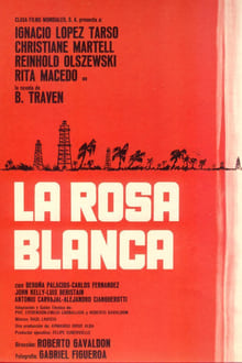 Poster do filme The White Rose