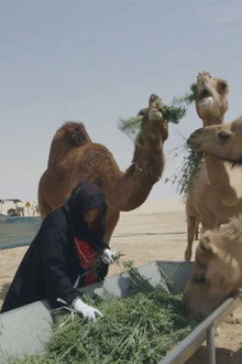 سماء قريبة