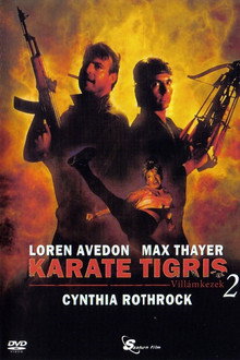 Karate tigris 2. - Villám kezek