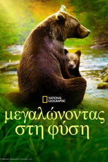 1ος κύκλος