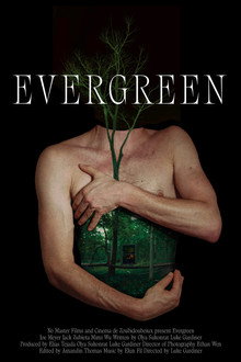 Evergreen