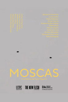 Moscas
