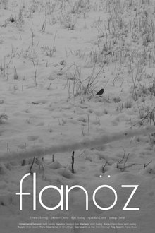 Flanöz