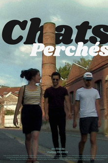 Chats perchés