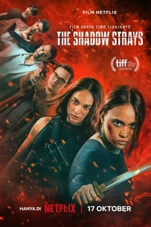 Sát thủ mật danh 13 – The Shadow Strays (2024)