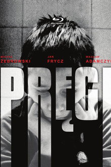 Pręgi