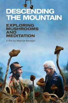 Poster do filme Descending the Mountain