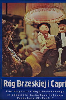 Róg Brzeskiej i Capri