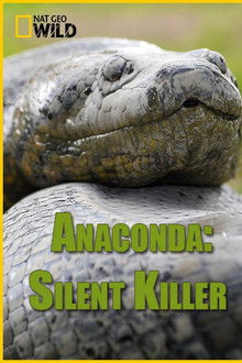 Anaconda: Silent Killer