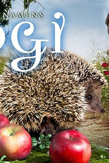 Ein Igel namens Hogi