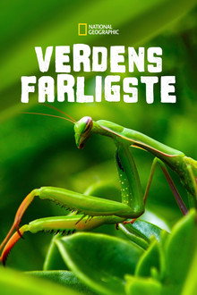 Verdens mest farlige dræbere