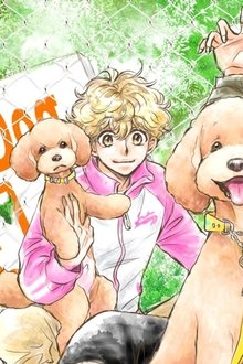 ドッグシグナル