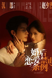 婚后恋爱禁止条例
