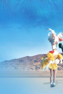 Priscilla,-folle-du-désert