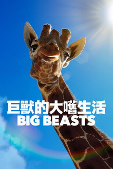 第 1 季
