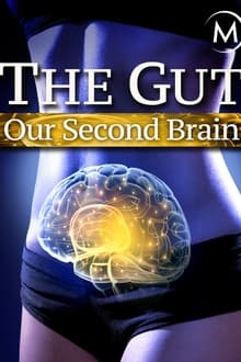 Poster do filme O Intestino: O Nosso Segundo Cérebro