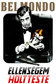 Ellenségem holtteste