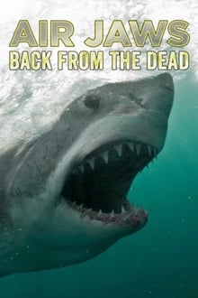 Poster do filme Air Jaws: Back From The Dead
