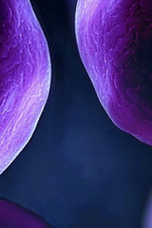 The Cell