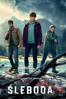 Limited Series