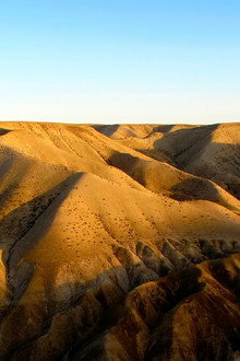 Deserts and Life