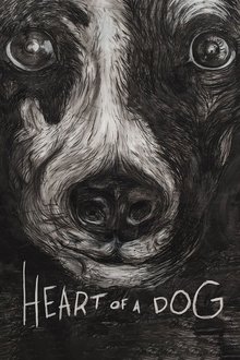 Heart of a Dog Heart of a Dog
