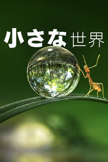 シーズン1