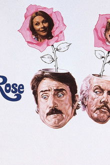 Son-tornate-a-fiorire-le-rose