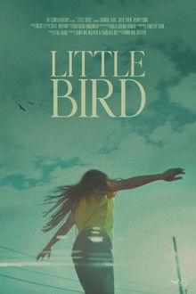 Little Bird