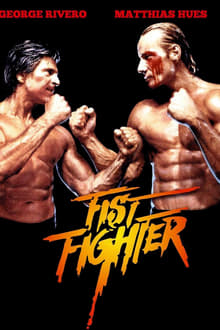 Poster do filme Fist Fighter