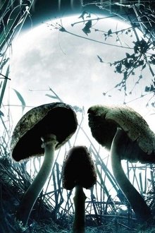 Cabeza-de-muerte-Fungus-Mortalitas
