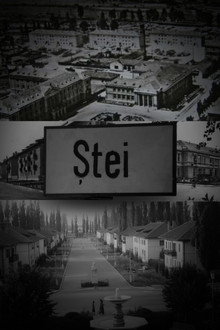 Ștei