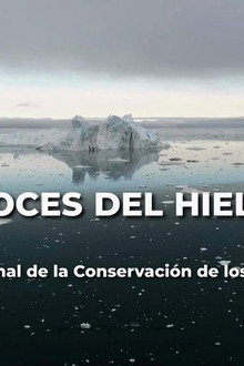 Voces de hielo