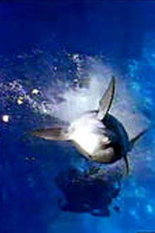 My Two Dads - Season 1