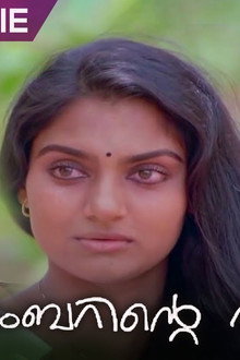 നവംബറിന്‍റെ നഷ്ടം