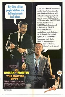 Poster do filme The Maltese Bippy