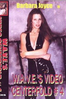 Video Centerfold #4: Barbara Joyce