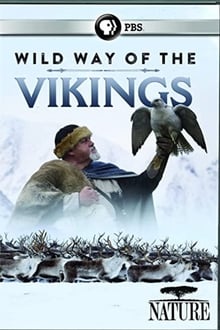 Wild Way of the Vikings 2019