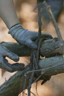 Siren: Survive the Island - Season 1