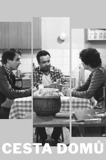 Cesta domů