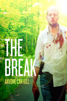 Poster da série The Break