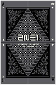 2NE1: 1st Live Concert NOLZA