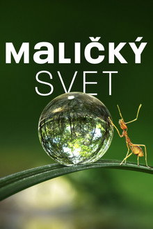 Maličký svet