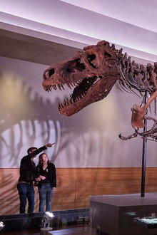 T-rex, le roi des dinosaures