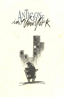 Antigone in New York