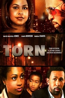 Torn movie poster